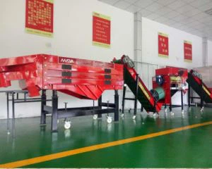 Fo-mheaisín Síolta Gairleoige